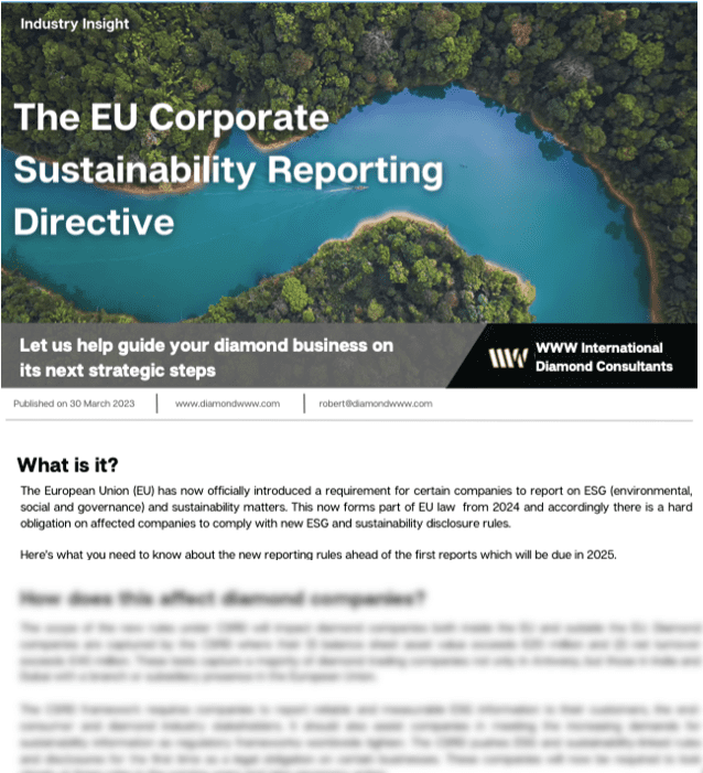 The EU Corporate Sustainability Directive